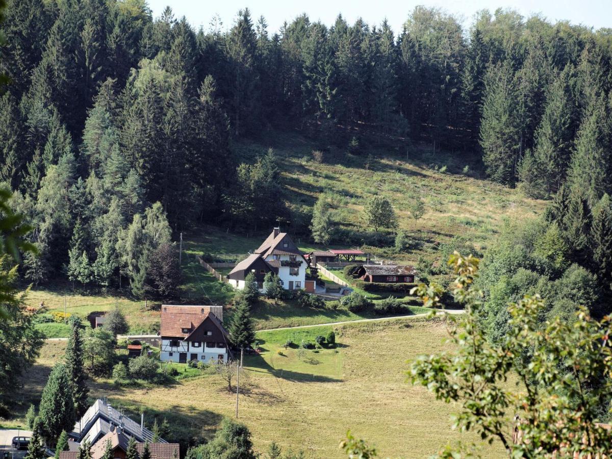 Apartment Tillisch By Interhome Sasbachwalden Kültér fotó